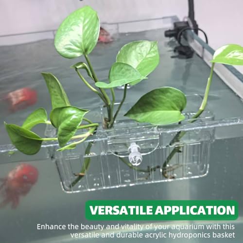 Qpets® Aquarium Plant Basket 3-Compartment Acrylic for Fish Tank Hanging Hydroponics with Draining Holes Accessories 2PCS Qpets® Aquarium Plant Basket 3-Compartment Acrylic for Fish Tank Hanging Hydroponics with Draining Holes Accessories 2PCS